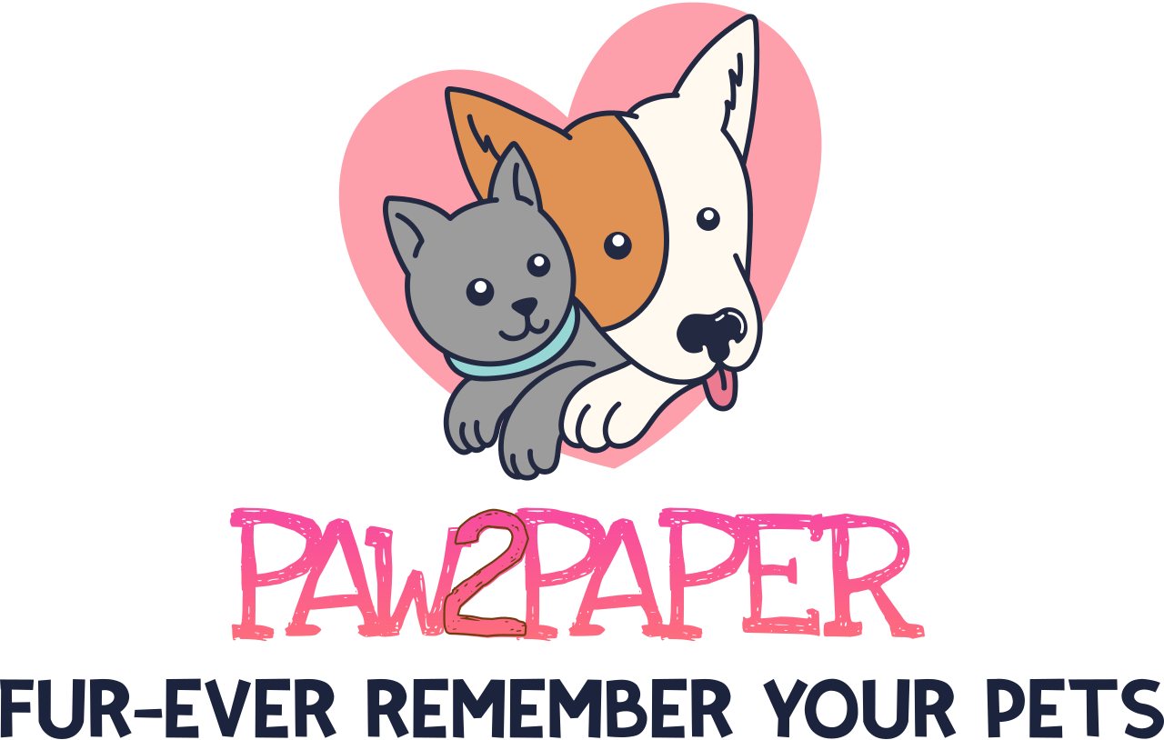 fulllogo_transparent_nobuffer